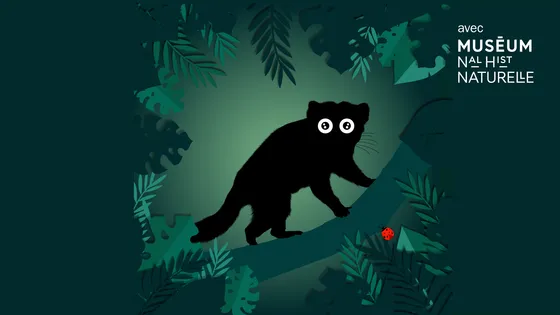 Le diable de Tasmanie